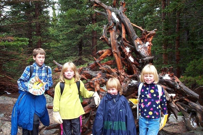 The famous gnarly tree on the way to Emerald lake