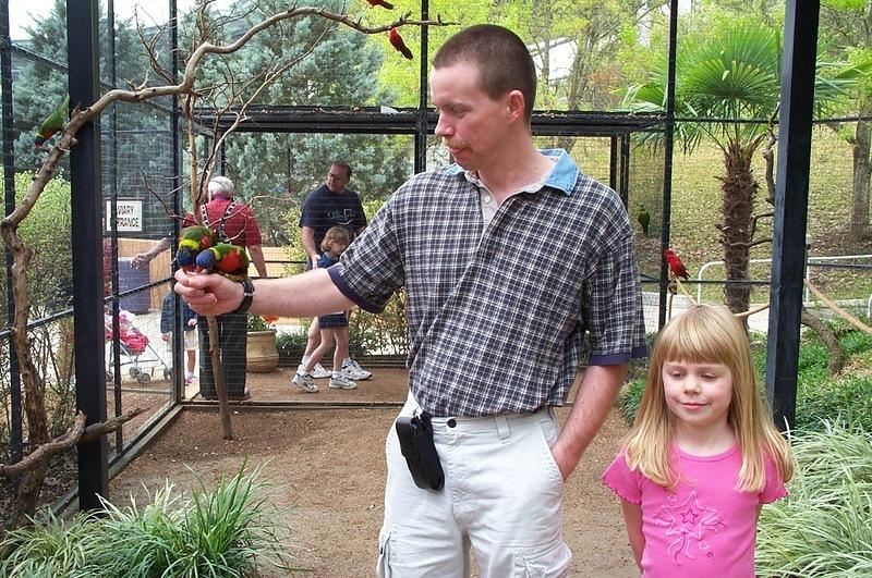 Alan feeding the lorykeets