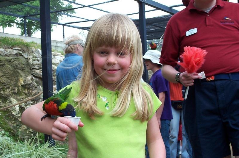 Hannah feeds the lorykeets