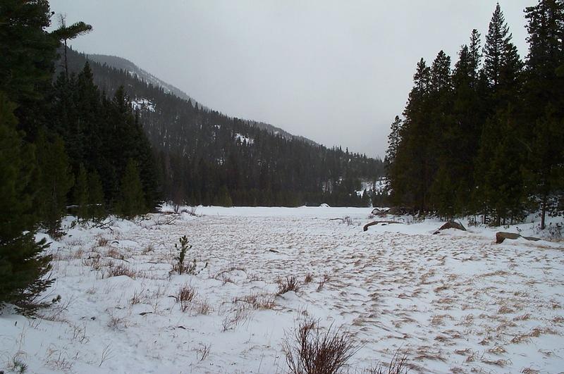 the snow was too deep and the girls would have never made it so I ran ahead to check out Cub Lake.