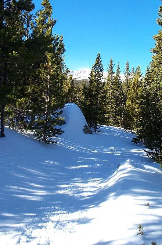 The trail from Bear Lake trailhead towards Odessa