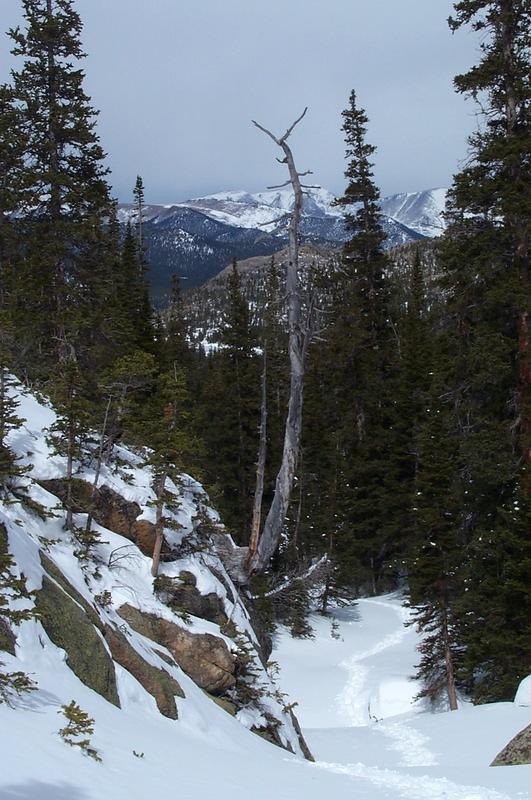 View of Mt. Ypsilon from the trail to Black Lake