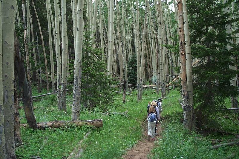 On the way to Cub Lake, the wrong way, before we got turned around.