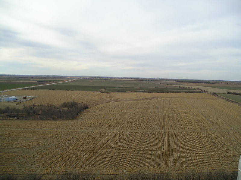 Looking south from 215' above grade.