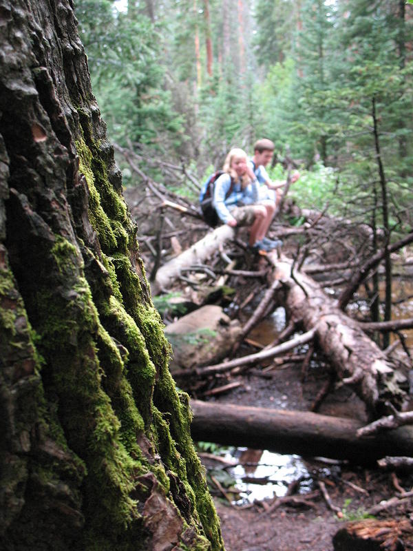 Christian and Hannah sitting on one of the many log jams