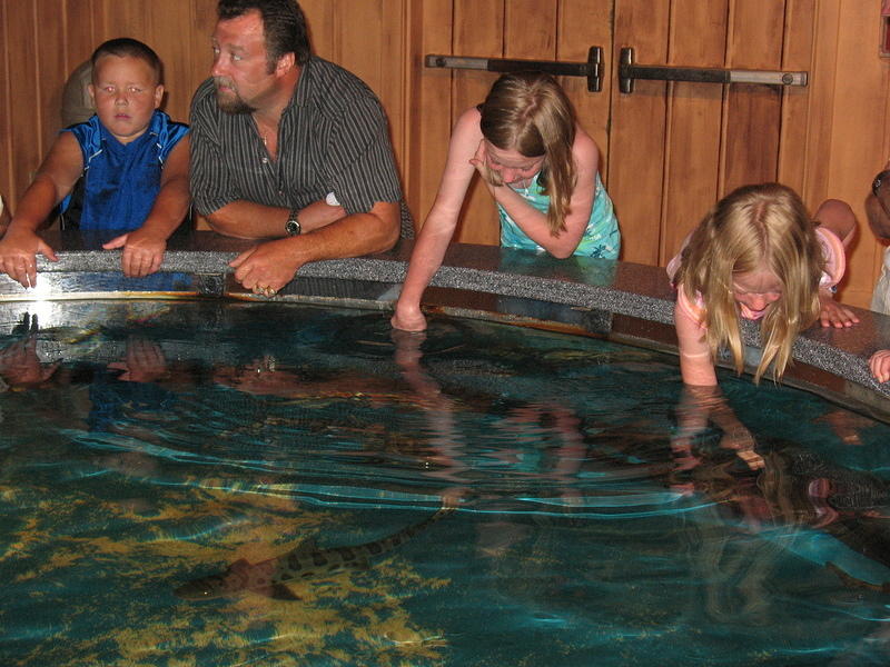 Shark petting? All the girls took a turn