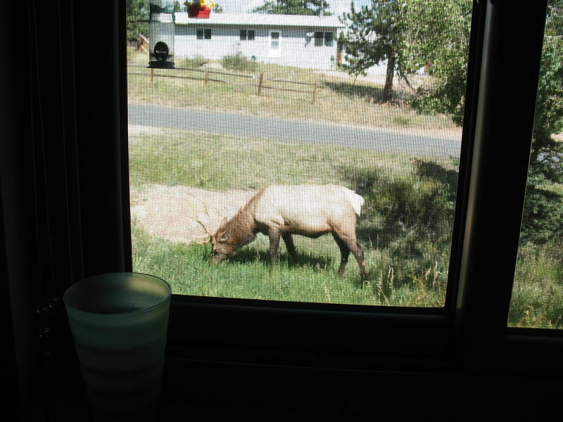 Looking out the window