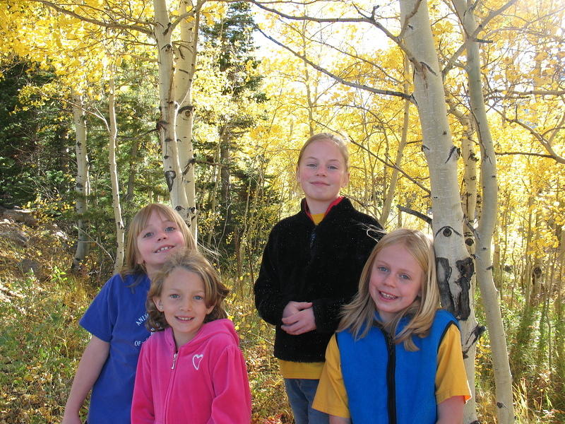 There is a beautiful aspen grove right by the Twin Sisters Trailhead