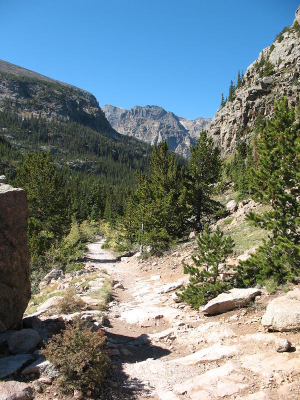 Looking toward the Loch