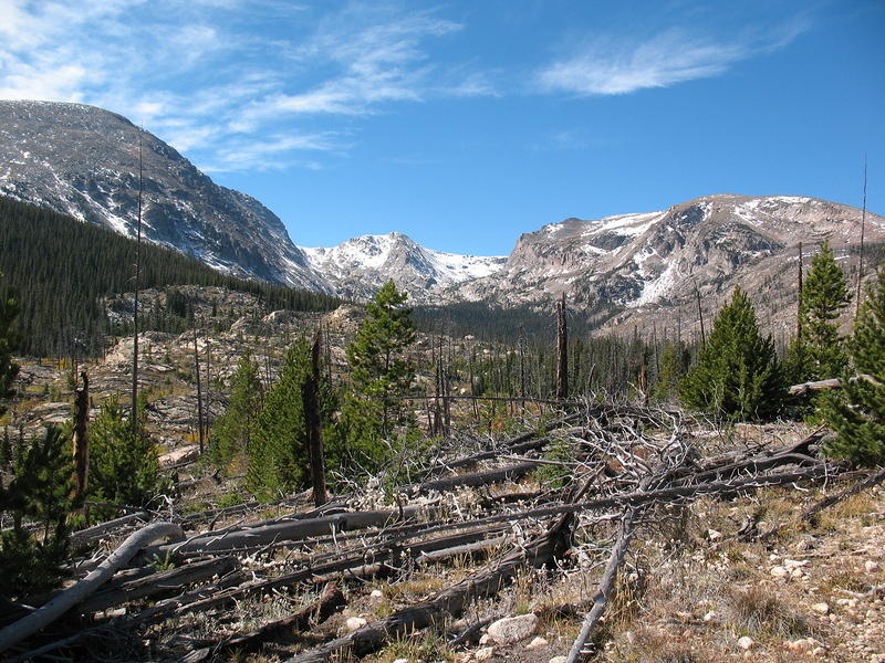 It kind of depresses me hiking throught the burn area.