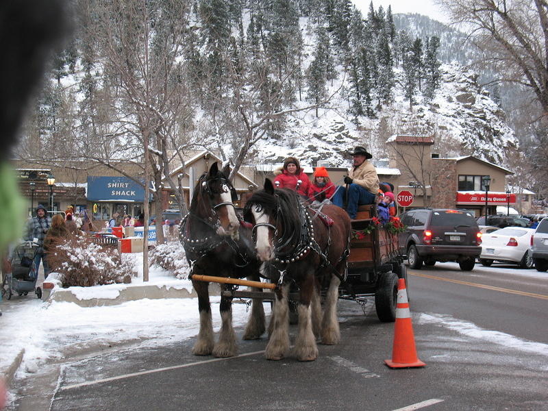 The horses hayrack rides last run