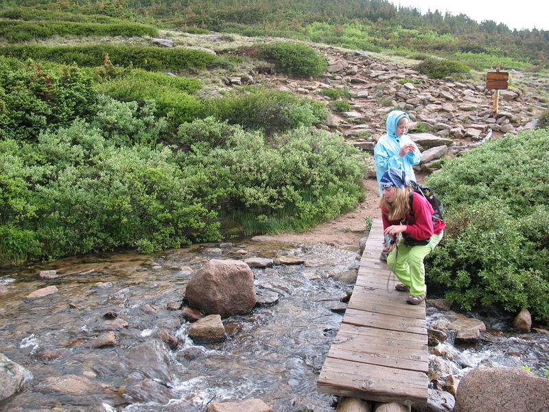 playing in the stream at Jim's Grove