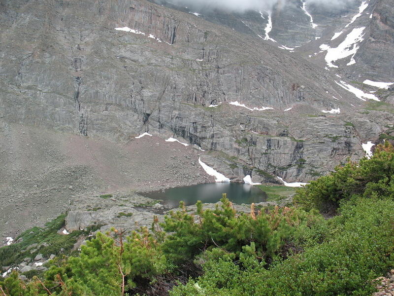 peacock pool