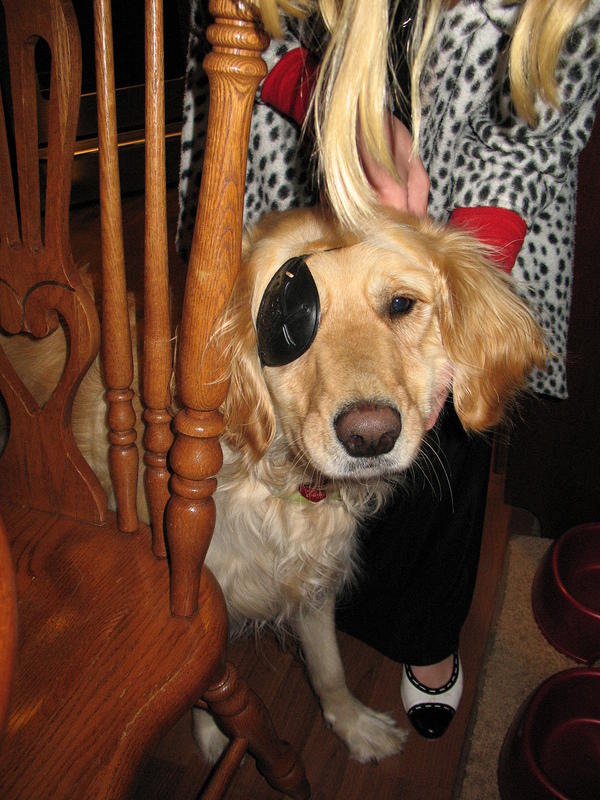 Pirate Haley!