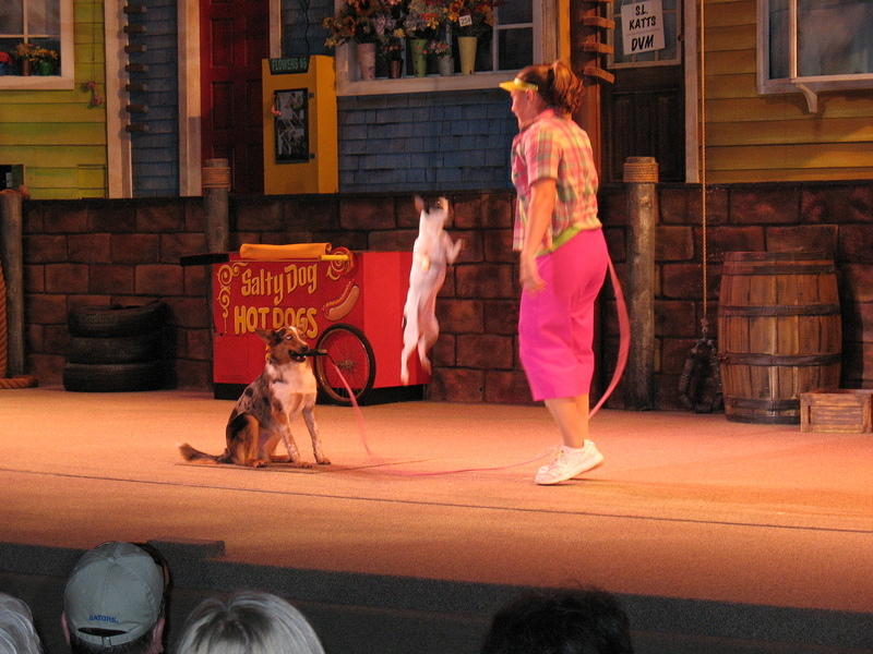 dogs helping other dogs jump rope