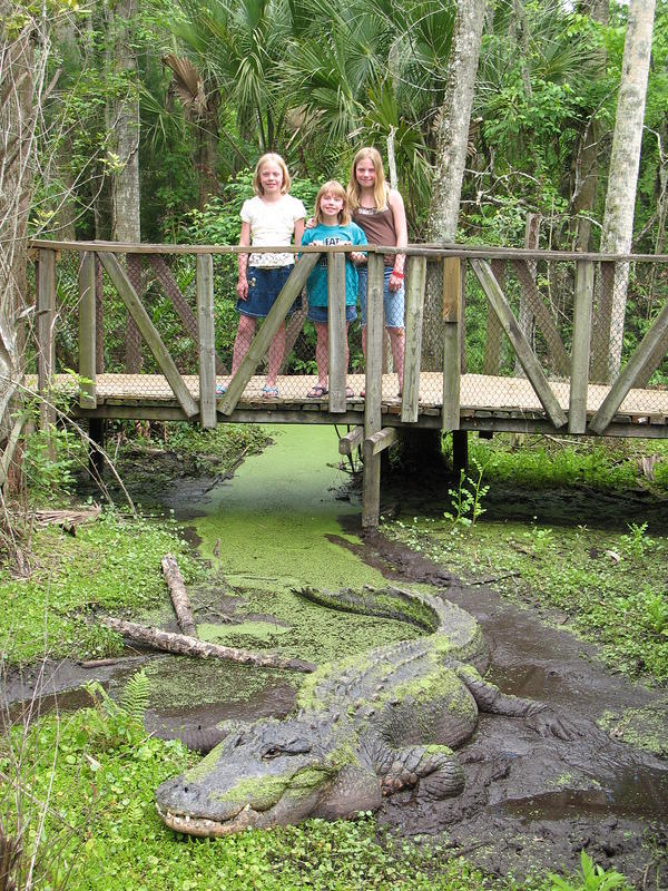 The girls on our boardwalk tour, that fence was ONLY nylon mesh