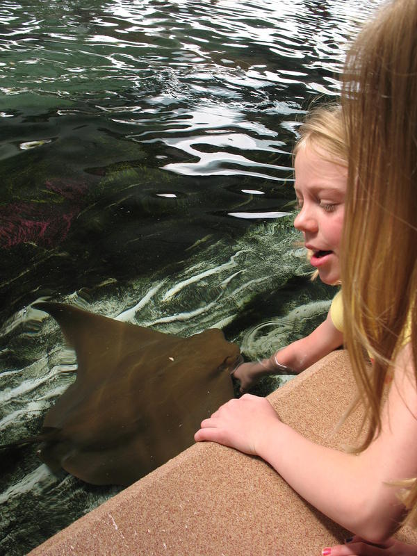 The move over your hand and suck the fish into their mouths