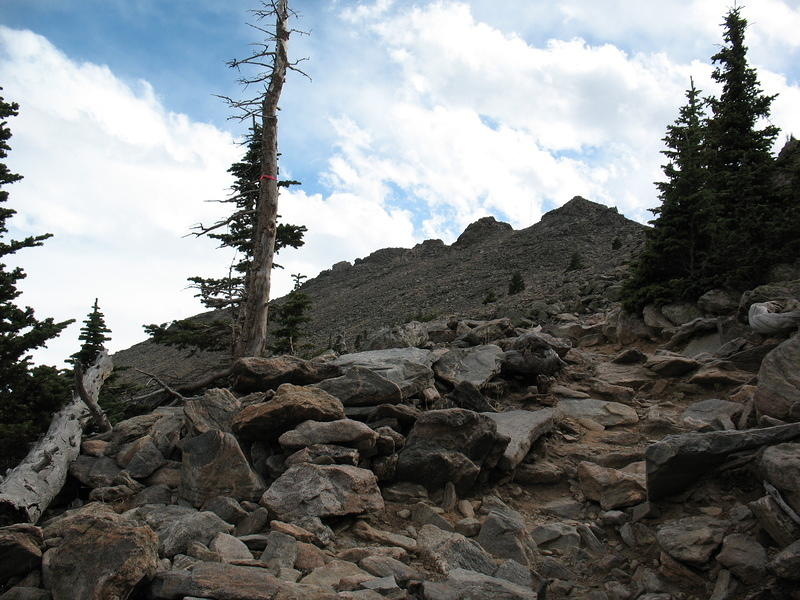 getting toward treeline on the trail