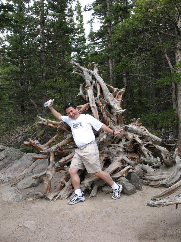 Crazy tree trunk by Nymph Lake