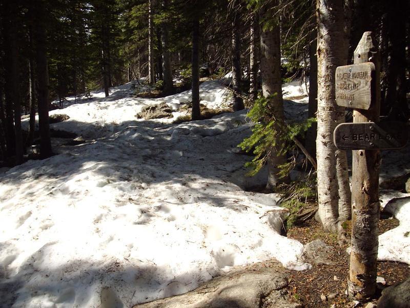 At the Flattop/Odessa trail junction.  Just starting to get into the snow.