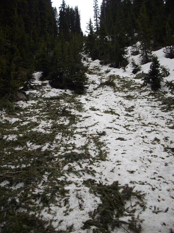 Avalanche debris covering the trail.  This looks like it was pretty recent.