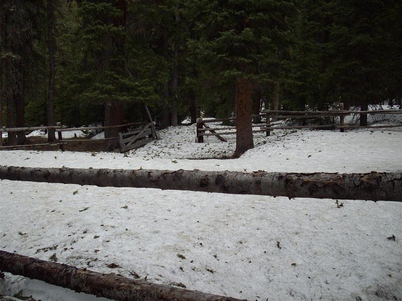 Corral I found after wandering through the forest for two miles in the snow because the trail was buried.