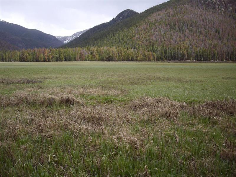 Big Meadow.  I took the wrong turn at the junction and ended up at the Green Mtn TH, so that added 4 miles to my trip. :-(