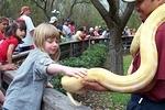 Elizabeth petting an albino python