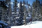 Alan snowshoeing up the hill.