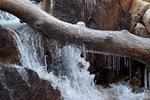 We started at the Alluvial Fan.  Some ice and snow remained by the river.  I didn't touch the water, I KNEW it was cold.