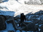 Here's Michael high in the couloir.  We were both hurting pretty badly from the altitude at this point (dizziness and fatigue).