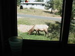 Looking out the window