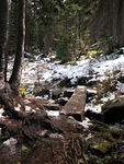 a stream after the Bluebird trail turnoff