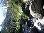 Crossing the stream at the start of the Shelf/Solitude trail.