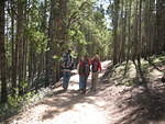 Hiking up the steepest trail I have ever seen. The jelly beans were still working in this pic