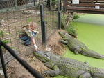 Gator feeding time-she is one brave woman waving raw chicken in front of this huge alligator named Bonecrusher