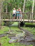 The girls on our boardwalk tour, that fence was ONLY nylon mesh