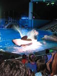 We did sit in the splash zone, but Shamu missed us everytime he passed by