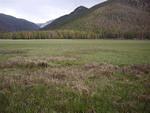 Big Meadow.  I took the wrong turn at the junction and ended up at the Green Mtn TH, so that added 4 miles to my trip. :-(